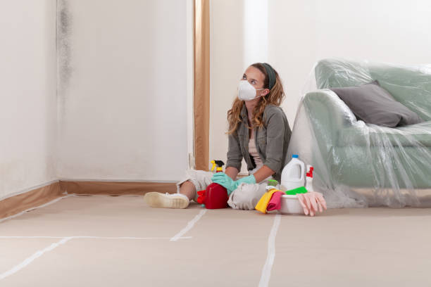 Reliable Attic Mold Removal contractor in Mayer, MN by WQB Mold Removal